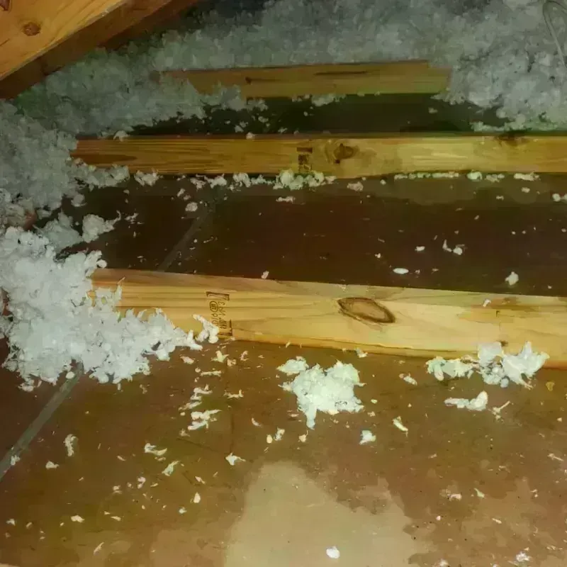 Attic Water Damage in North Key Largo, FL